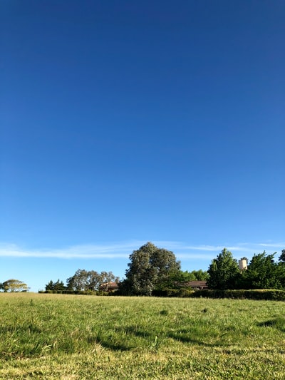 Green grass fields under the blue sky during the day
